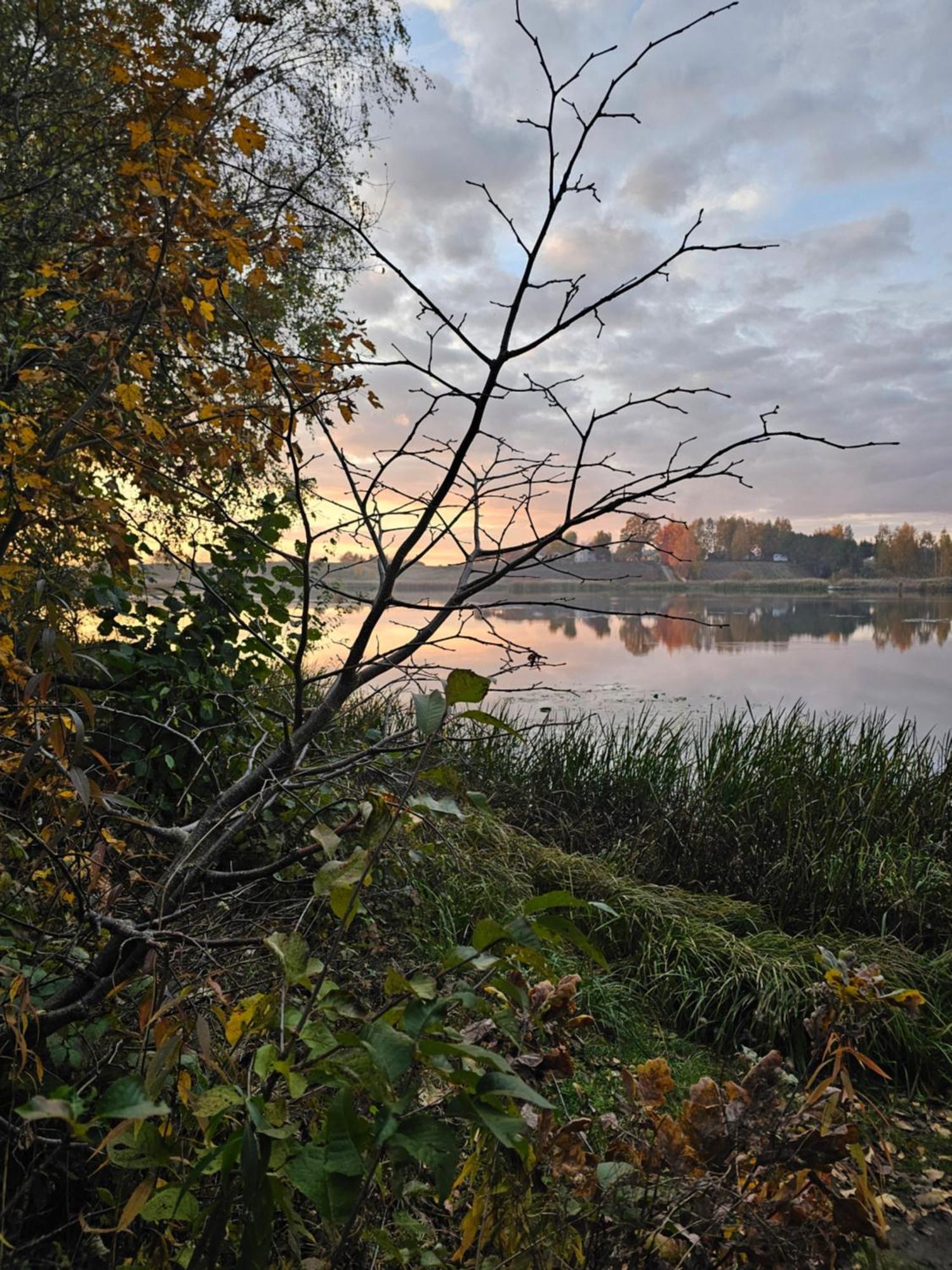 Hytte Na Wyspie -,,Roztoczanskie Morze" Kulikow Exterior photo